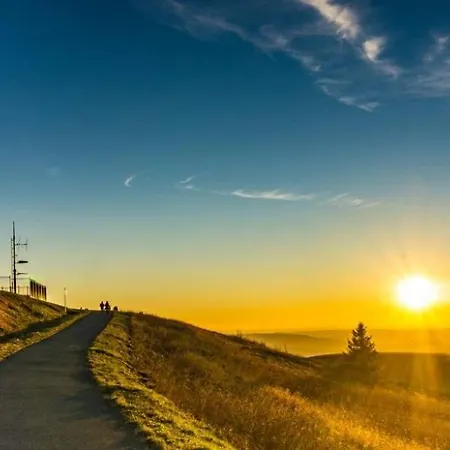 Idyllische In Stadtnaehe דירה